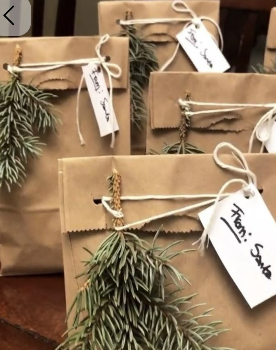 SANTA SURPRISE GIFT BAG