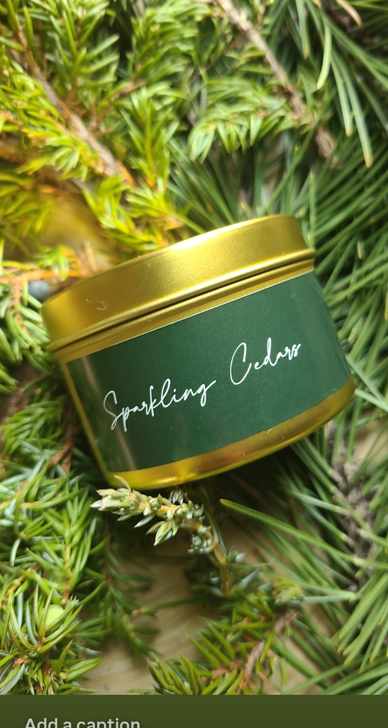 SPARKLING CEDAR ~ CANDLE 4oz
